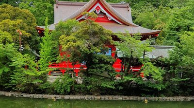 ⛩️ 이노카시라 벤자이텐 다이세이지 (이노카시라 벤자이텐 다이세이지) 이미지 2